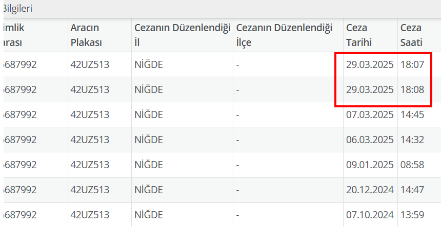 Ceza Sani̇ye