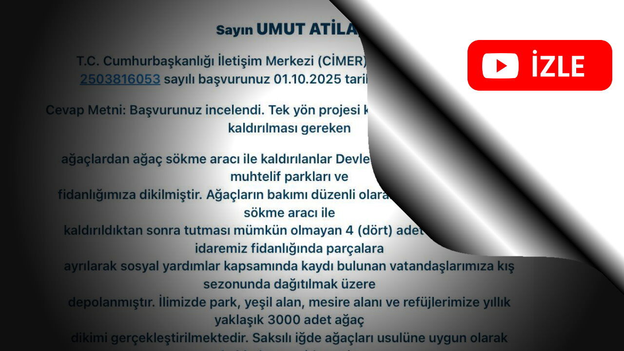 CHP’li Atila’nın ağaç kesimi sorusuna belediyeden ilginç yanıt