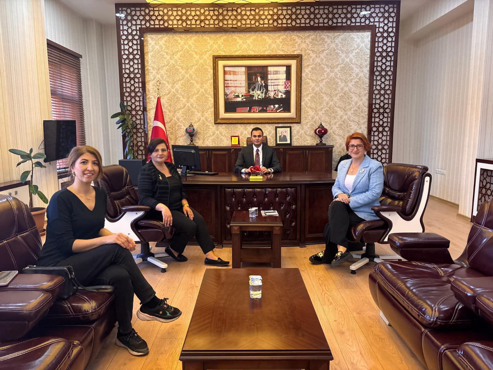 1357A23D B5D8 4C54 80Ed 257207Af639C