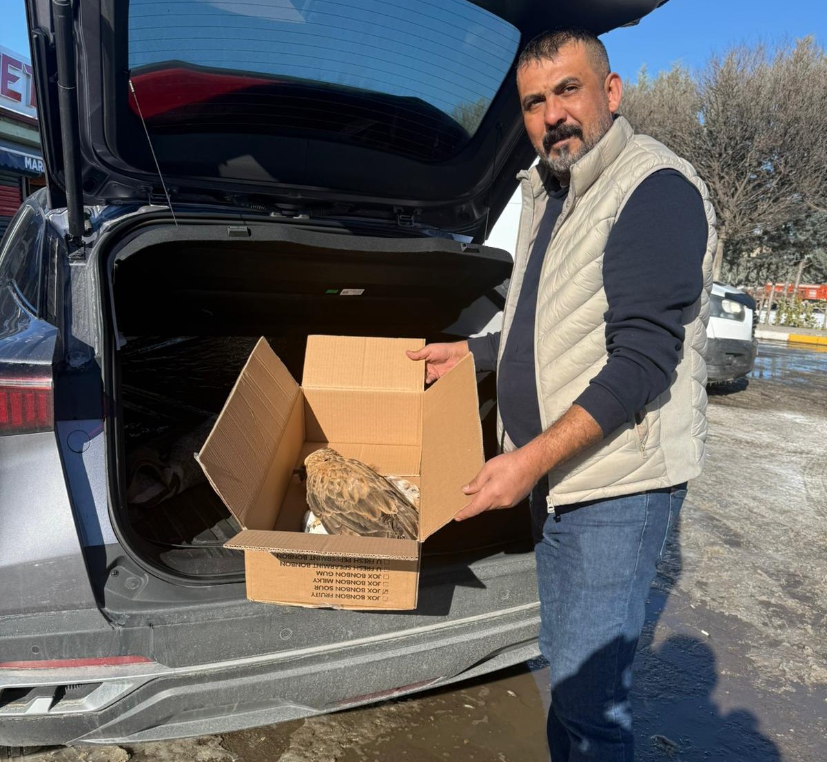 610945667 1433221295471182 7743113724028163213 N