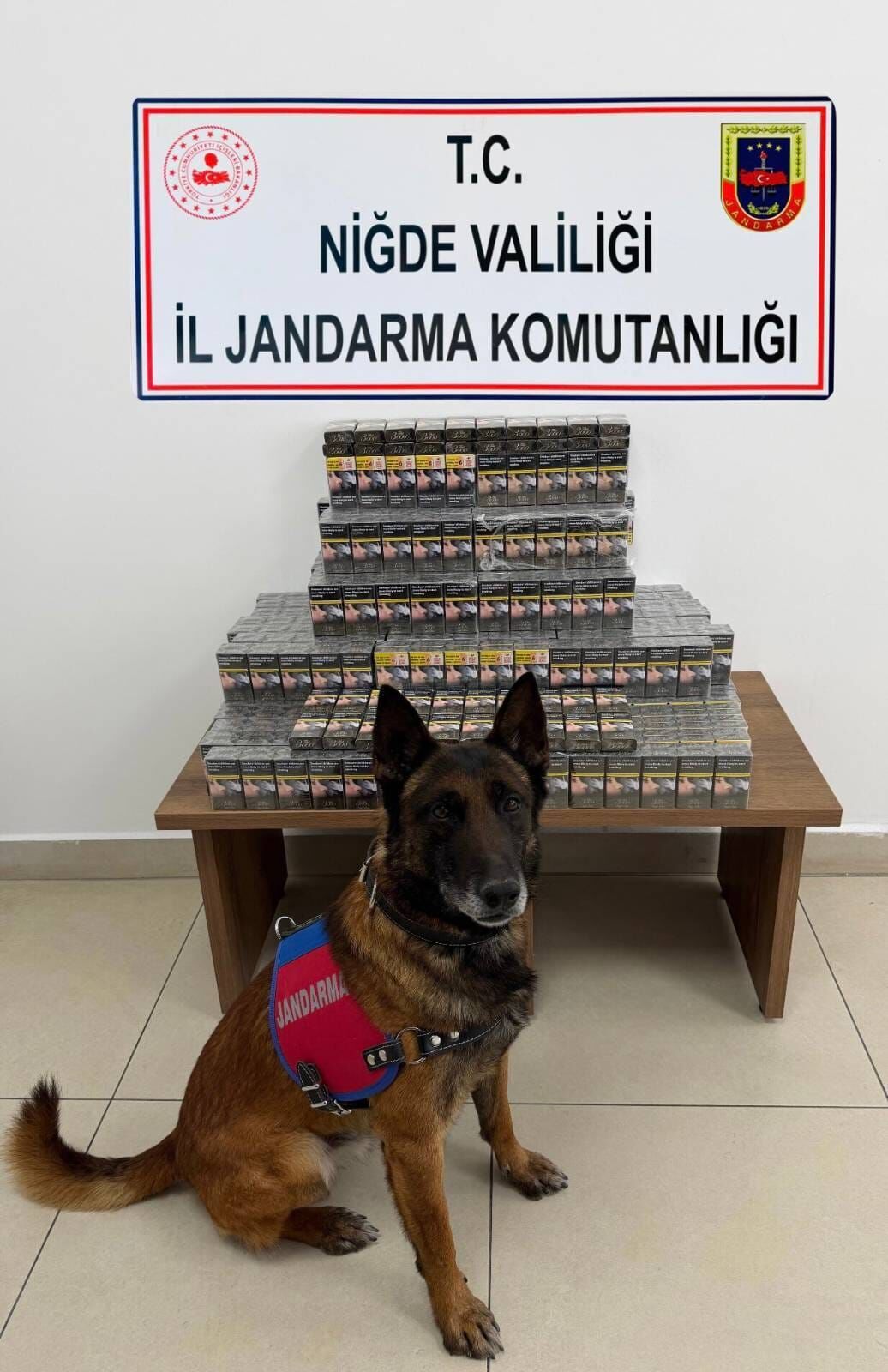 3Af0B011 19B4 4B11 94Cd 829Fb0A07Ce9