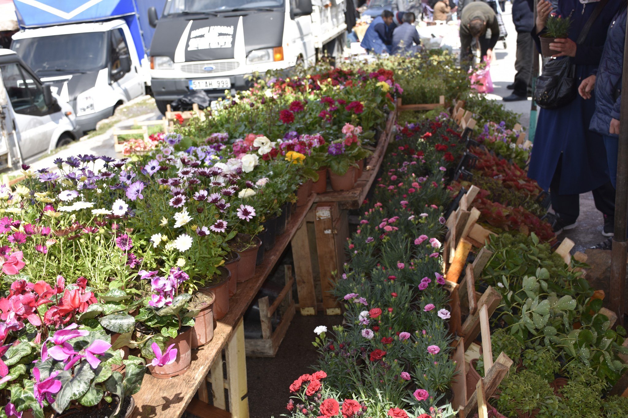 Niğde’de baharın gelmesiyle Çiçek sezonu başladı