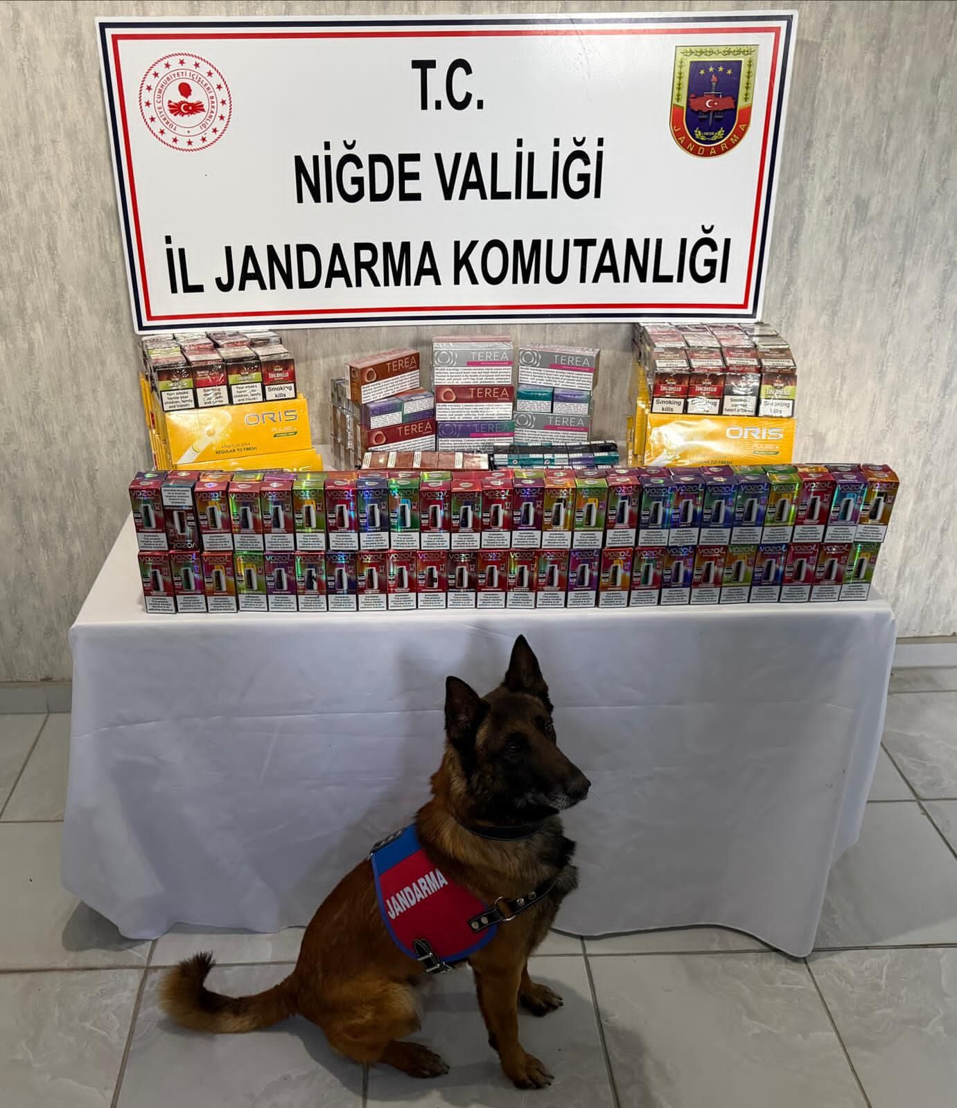 696Af916 Bc3E 4166 A657 5Db901B15687