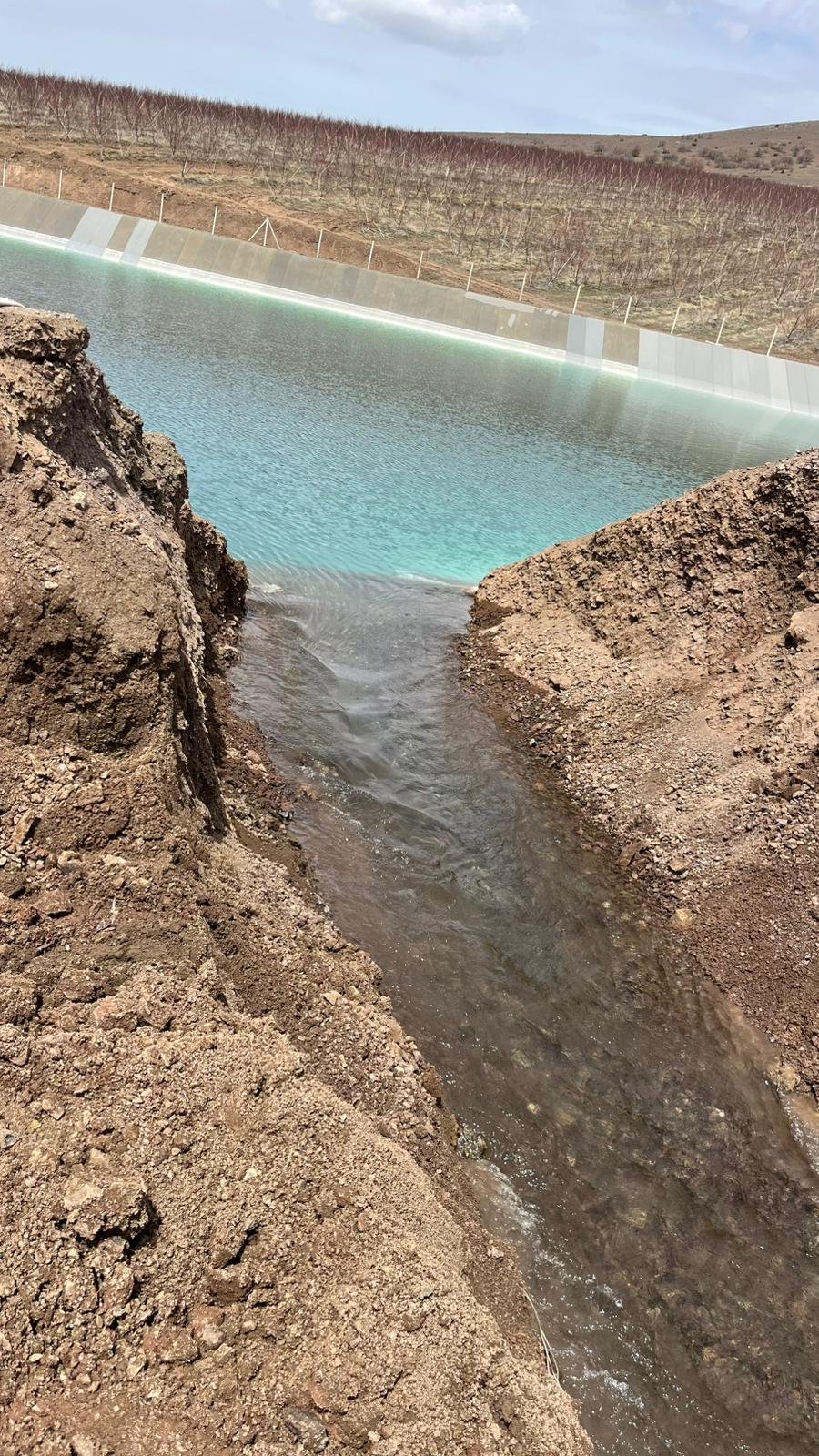 2490982E 8460 44E7 Ba84 8C92D20E8526