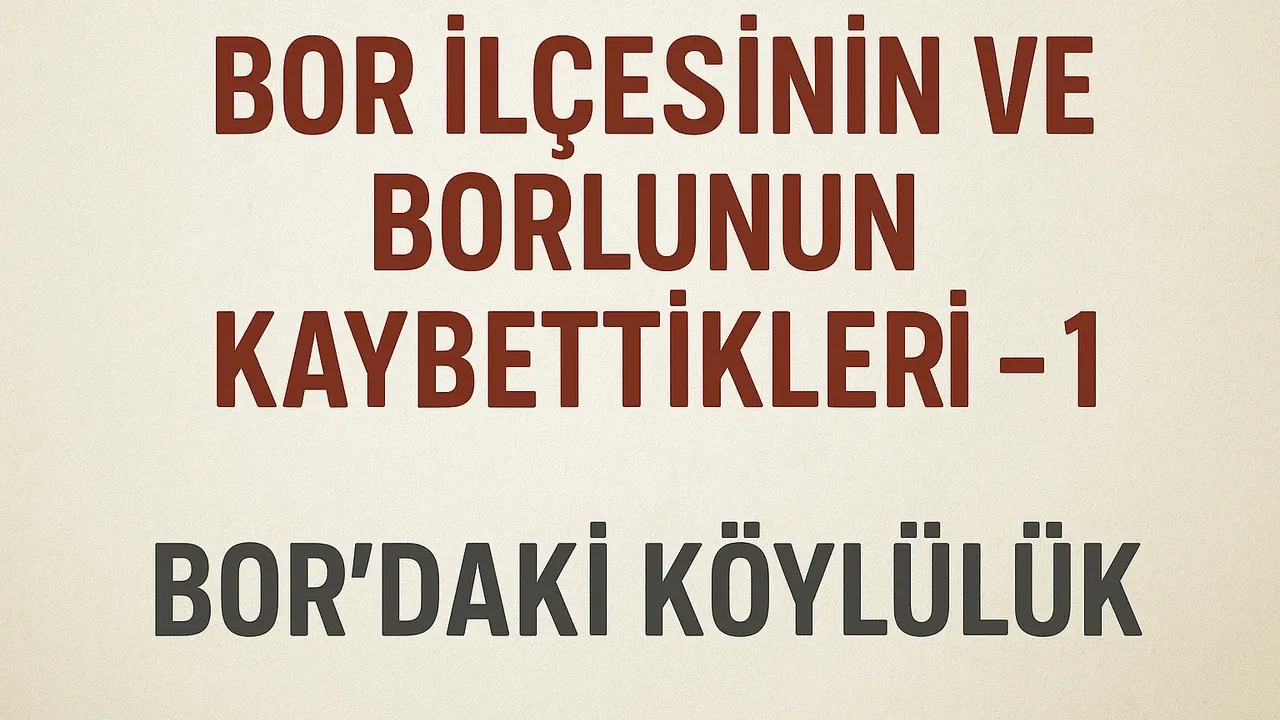 111F3Eb2 71F0 45A7 Af66 Dc7Fcea3B6Cd 1