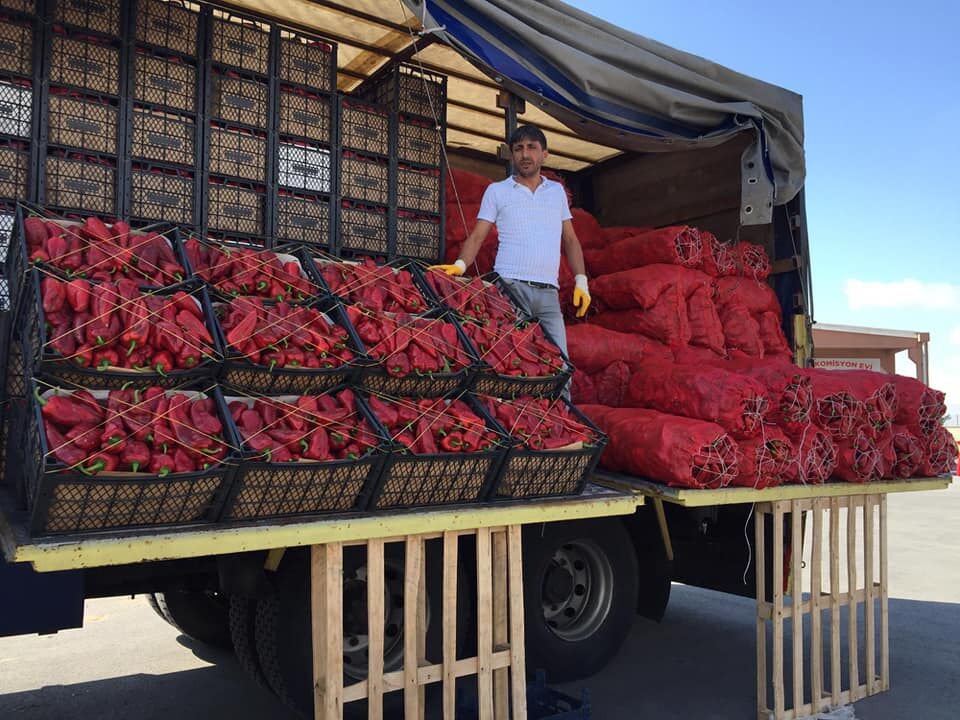 51 Niğde’de Organik Salça Sezonu Başladı6