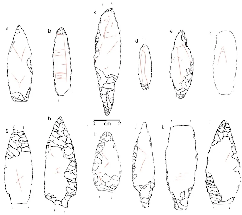 Incised2