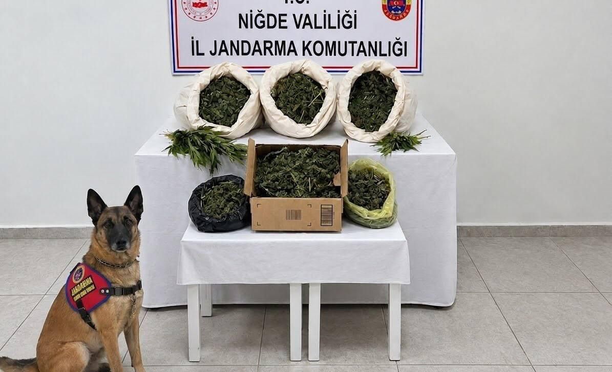Niğde Fesleğen Köyü’nde Jandarma Operasyonu