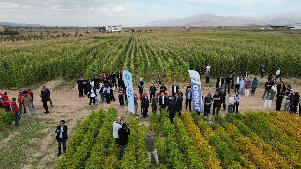 EĞİTİM