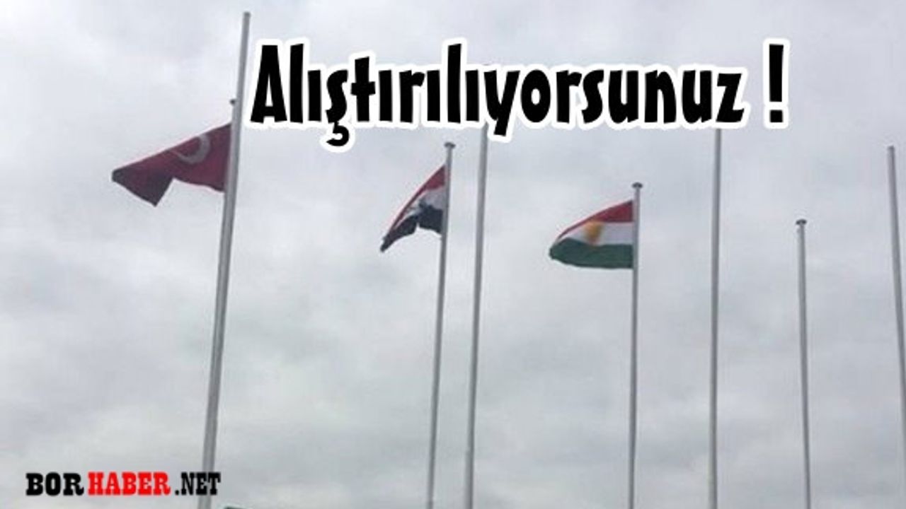 Havaalanlarına asılan  Kürdistan bayrağına tepkiler