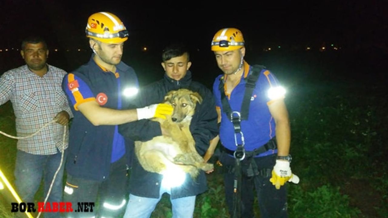 Su kuyusuna düşen köpek AFAD tarafından kurtarıldı