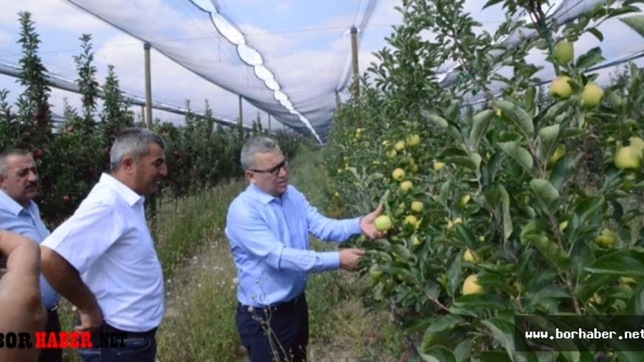 Vali Şimşek elma ve Armut bahçelerinde inceleme yaptı