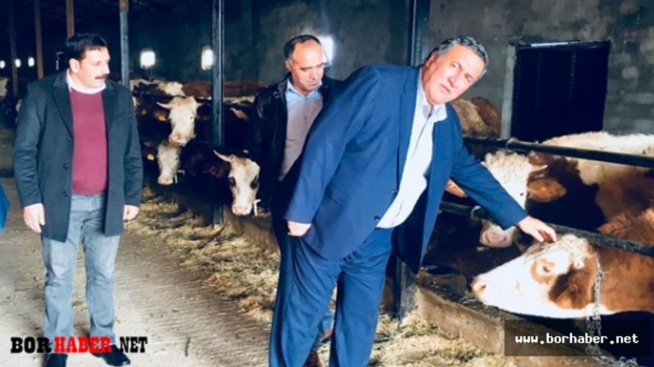 Gürer: Yem fiyatları hayvancılığı sarsıyor