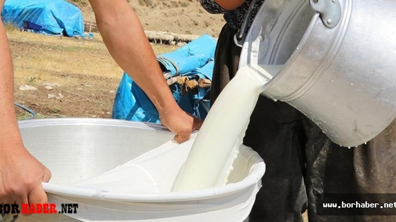 Ekim ayında toplanan inek sütü miktarı azaldı