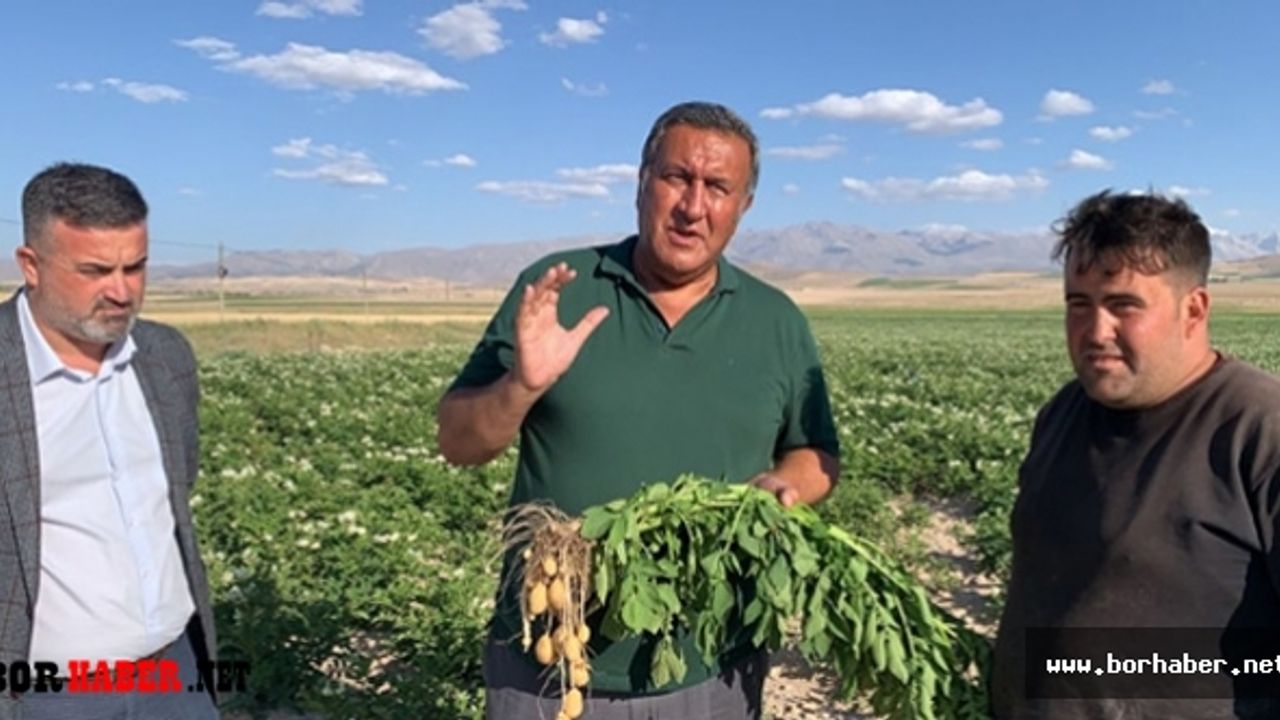 Patates markette 3 TL, üretici ise kaygılı