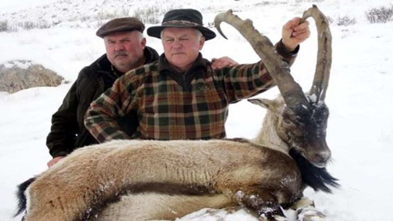 Bulgar Avcılar, Demirkazık'ta Dağ Keçisi Vurdu