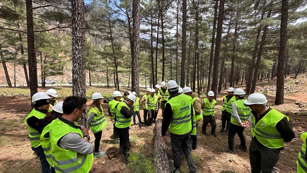 Orman İşletme Personellerine Üretim Tatbikatı Verildi