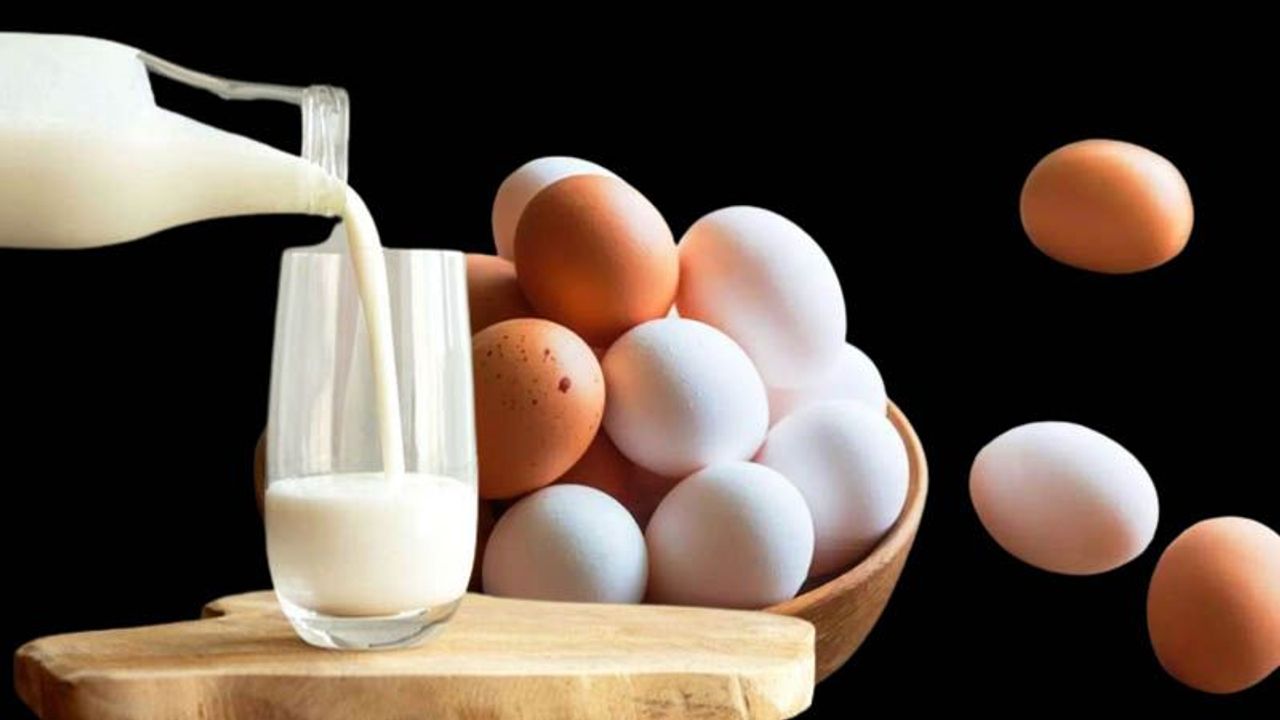 TÜİK: Yumurta ve tavuk eti üretimi arttı, içme sütü üretimi azaldı
