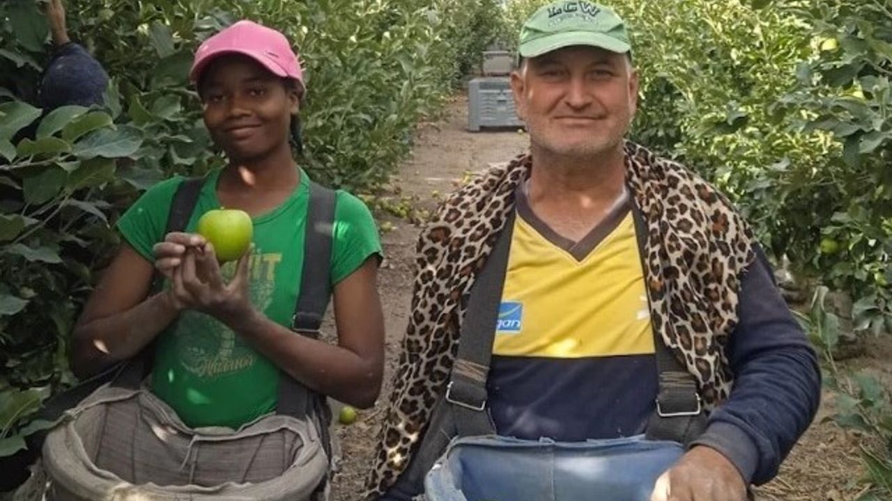 Nijerya’dan geldi, Niğde’de elma işçisi oldu