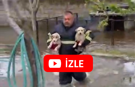 Selde Mahsur Kalan Köpekleri 112 Acil Ekibi Kurtardı