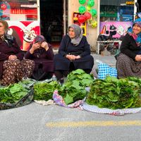 YAŞAM