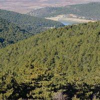 BÖLGEMİZ