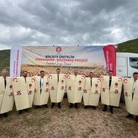 EKONOMİ
