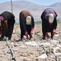 BÖLGEMİZ