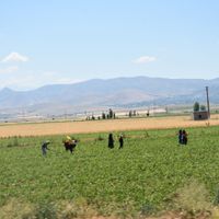 YAŞAM