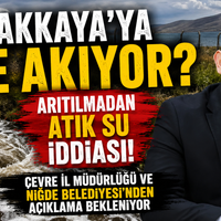 SİYASET