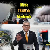 YORUM