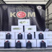 ASAYİŞ