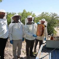 EĞİTİM
