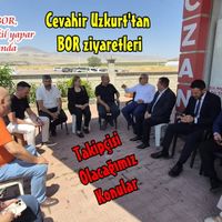 SİYASET