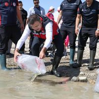 BÖLGEMİZ