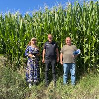BOR