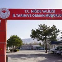 GÜNCEL