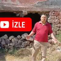 SİYASET