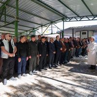 YAŞAM