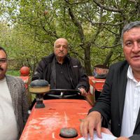 EKONOMİ