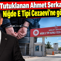 SİYASET