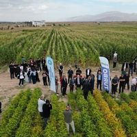 EĞİTİM