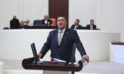 Kalkınma Ajansı Düşünülüyor mu?  Diye Sordu... Yanıta Bak!