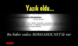 Bor Enerji İhtisas YEKA İhalesi İptal Edildi