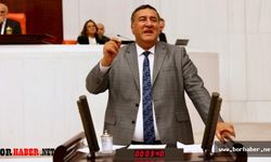 Bor Enerji İhtisas Endüstri Bölgesi 4 yıldır başlamadı!