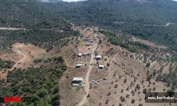Gürer; 11 Milyon Fidana Ne Oldu?