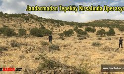 Uzun süredir aranan şahısları Jandarma dağda yakaladı