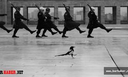 Borlu Polis Memuru Fatih Cindemir'in ödüllü fotoğrafı gündem oldu