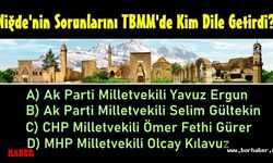 Niğde'nin sorunlarını TBMM'de bakın kim dile getirdi