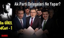 Ak Parti Delegeleri Ne Yapar?